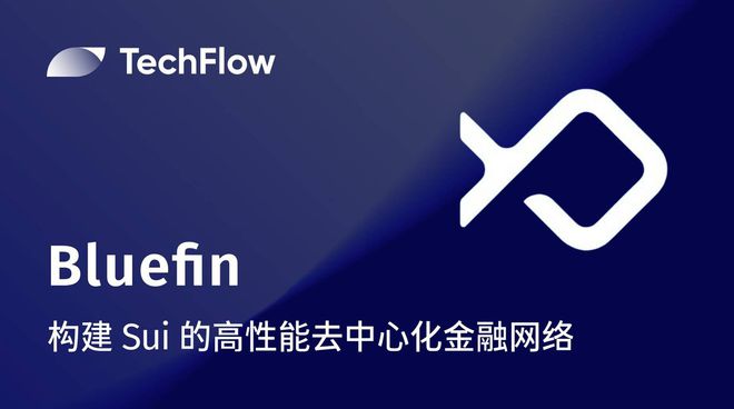 隐私保护策略_去中心化网络中隐私保护的创新解决方案_隐私策略