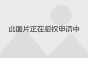 最新经济金融政策，重塑全球经济格局的驱动力重磅出炉！