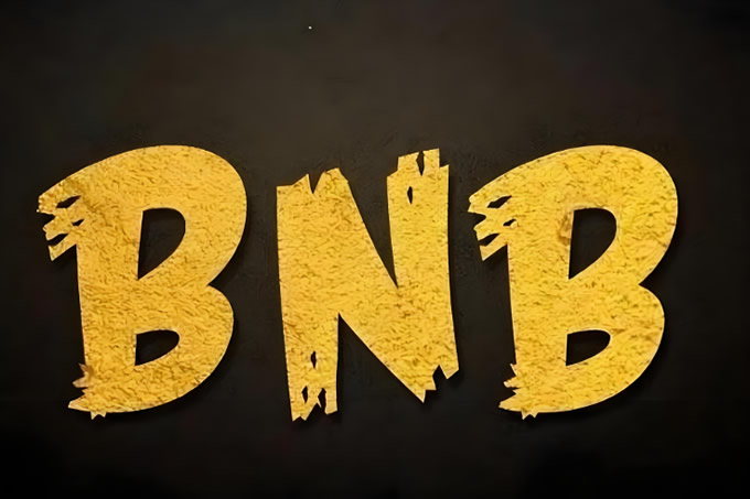 应用区块链的公司有哪些_区块链应用程序_了解BNB币的技术创新：区块链应用的现实挑战与突破