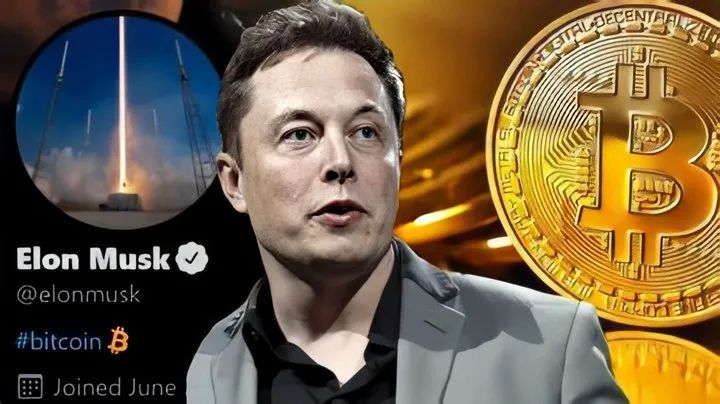 比特币行情狗狗币_比特币与狗狗币的理念差异：去中心化的不同表现形式_比特币与狗狗币