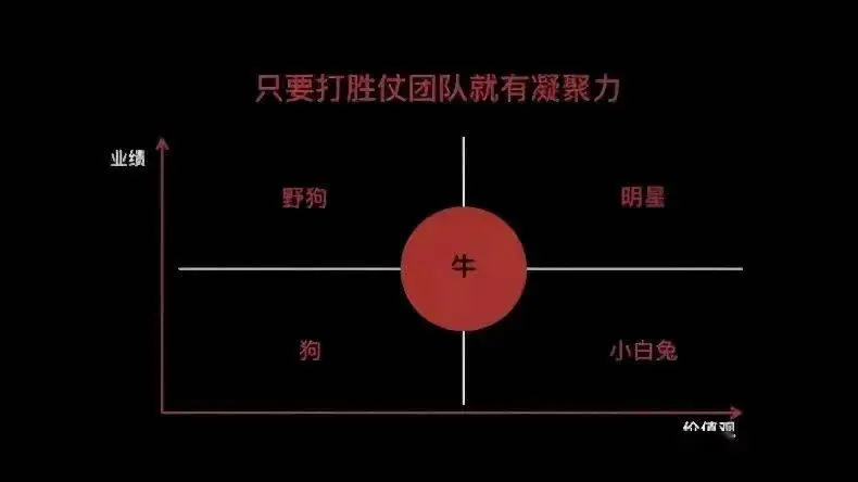 徐新风投女王揭秘：如何打造具备成长潜力的企业？品牌力量与细分市场的重要性