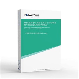 2024-2029年中国数字货币行业市场前瞻与投资战略规划分析报告